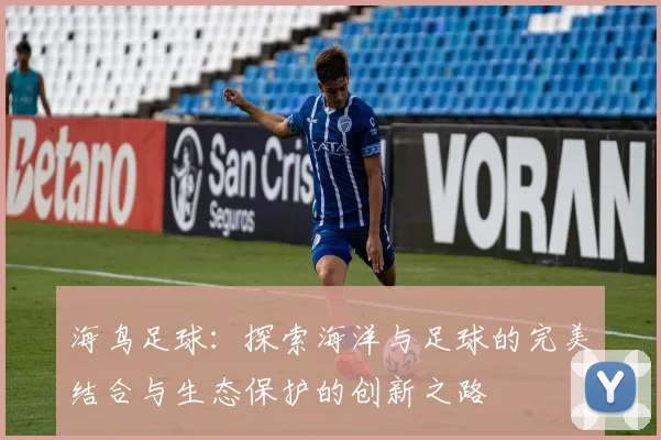 海鸟足球：探索海洋与足球的完美结合与生态保护的创新之路