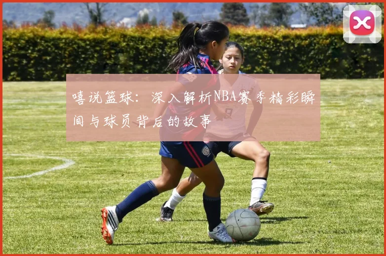 嘻说篮球：深入解析NBA赛季精彩瞬间与球员背后的故事