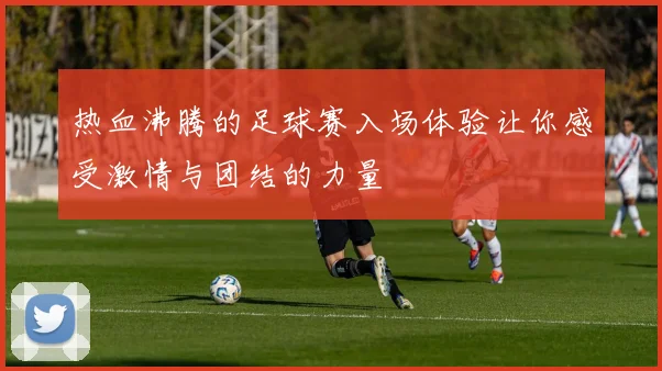 热血沸腾的足球赛入场体验让你感受激情与团结的力量