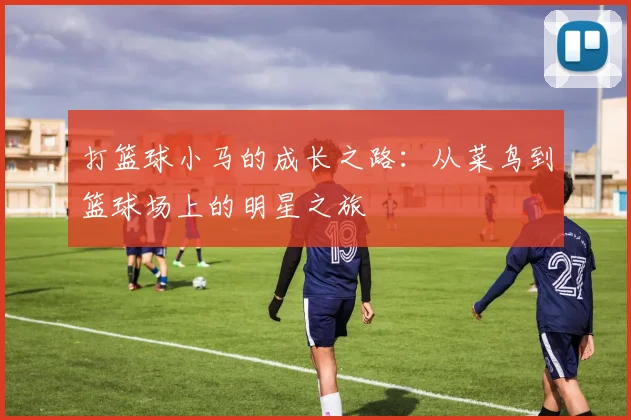 打篮球小马的成长之路：从菜鸟到篮球场上的明星之旅