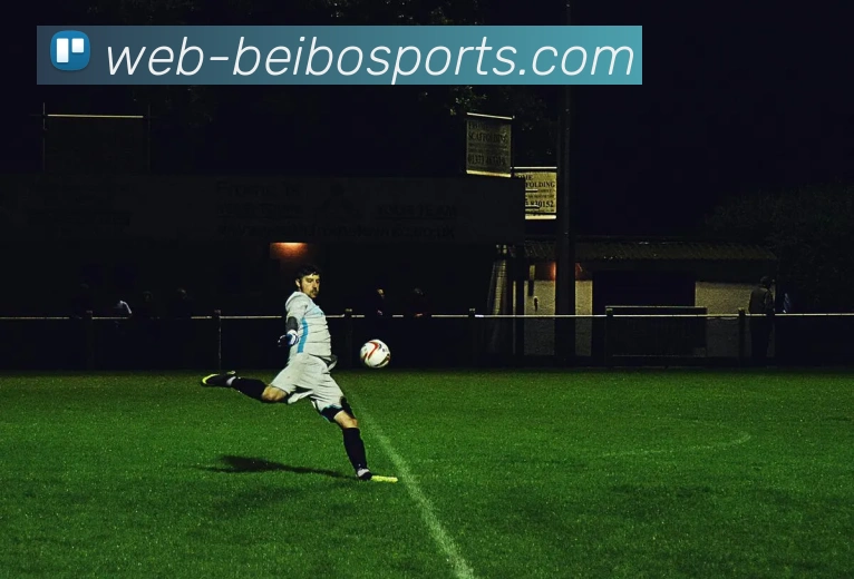 贝博体育网站全站App